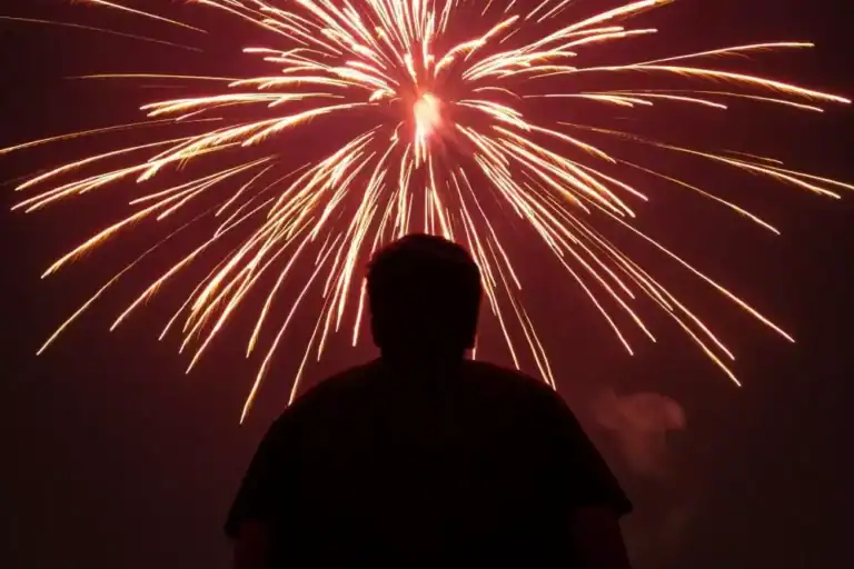 image of a silhouette of a person watching a firework display