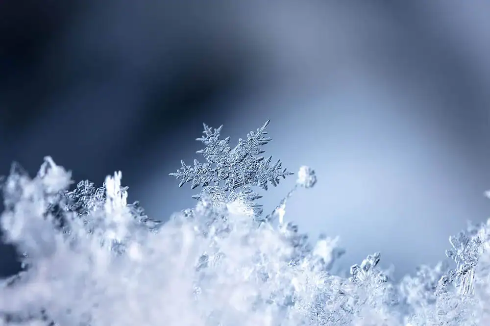 A snow flake sitting on a bed of other snow flakes