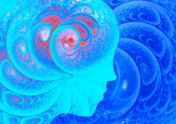 The mind on psychedelics