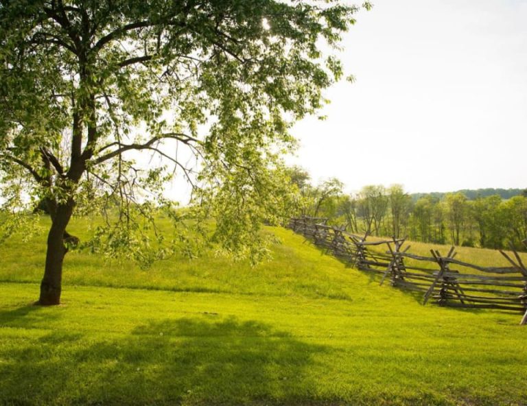 Image of Thomas Jefferson's Poplar Forest Yard