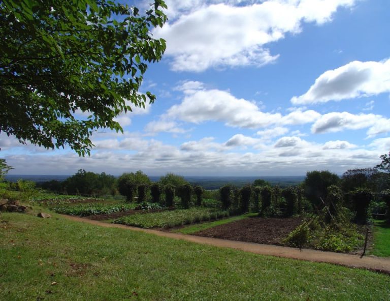 Image of Yard of Monticello